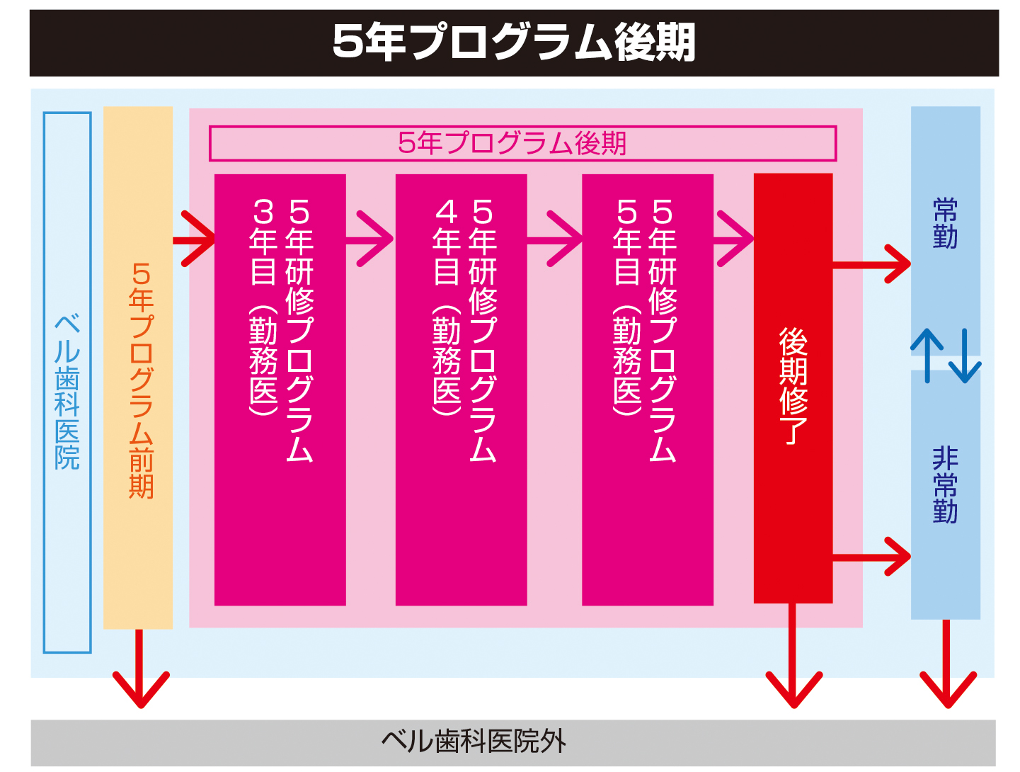 5年研修プログラム後期(3年目〜5年目)